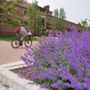 Spring flowers Student Biking