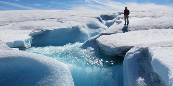 Researcher standing on ice cap