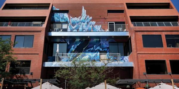 Sea ice mural in downtown ɫ by Kendall Kippley