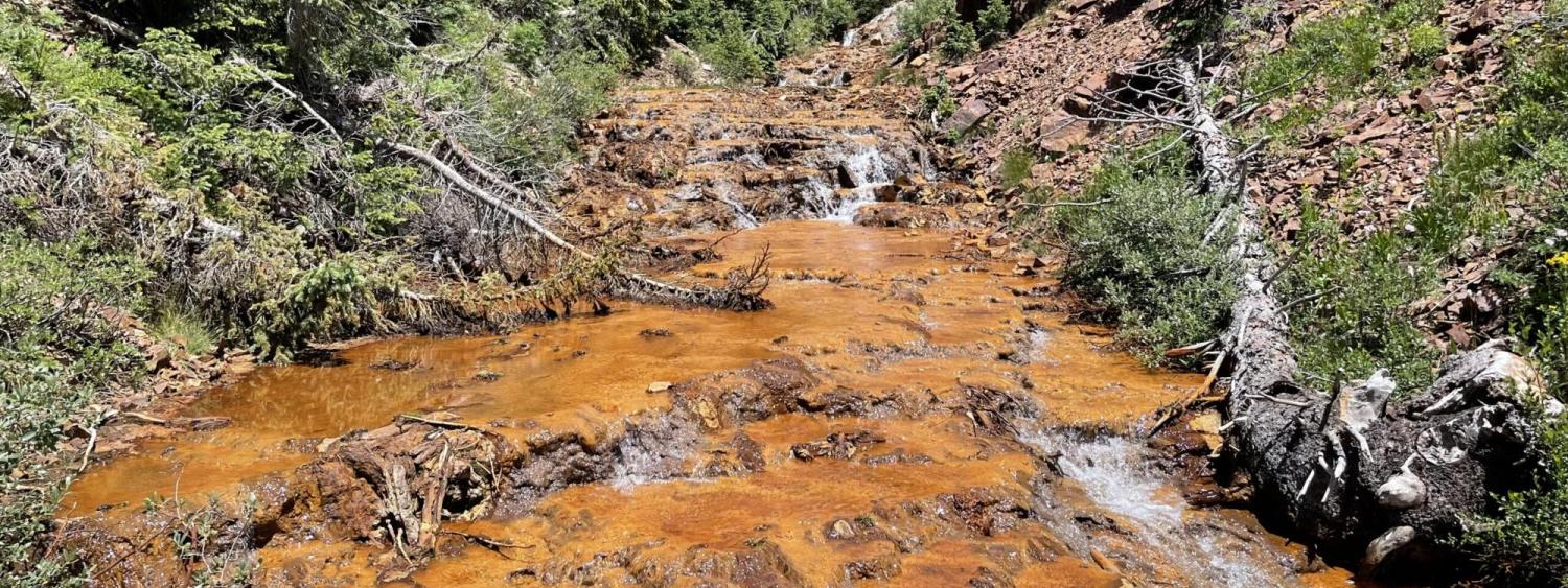 Iron oxides stain the bed of Upper East Mancos River in southwestern Colorado